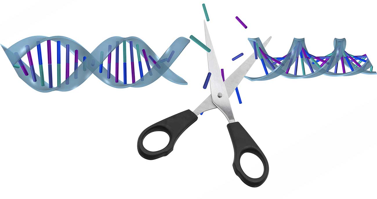 DNA Scissors Big Data Analytics